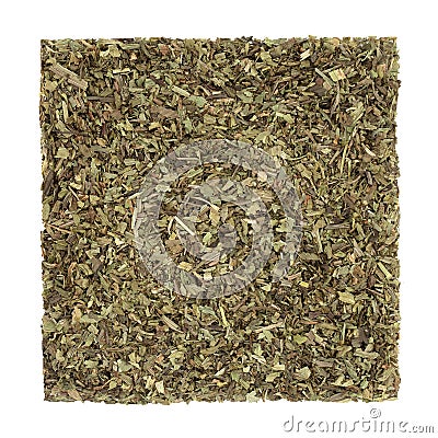 Plantain Herb Herbal Medicine Stock Photo