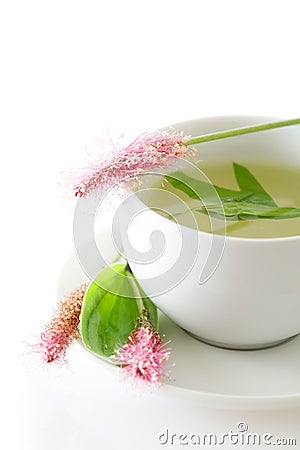 Plantain, medicinal plant, herbal tea isolated Stock Photo