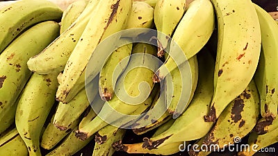 Plantains Stock Photo