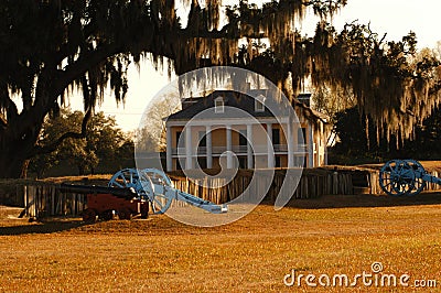 Plantation Stock Photo