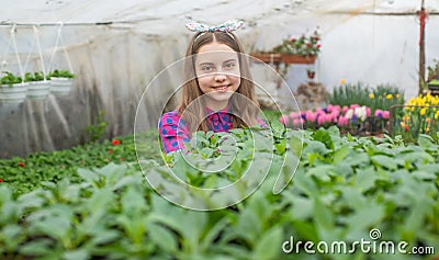 plantation. spring and summer. planting pot plants. child gardener. flowers in garden. Stock Photo