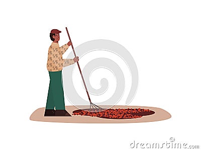 Plantation worker drying coffee beans, cartoon vector illustration isolated. Vector Illustration