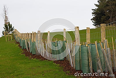 Planted hedge Stock Photo