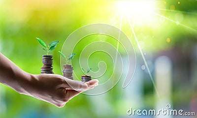 Planting from coins Business growth concepts Stock Photo
