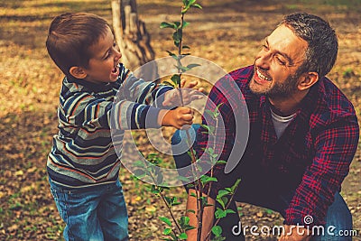 Planting a family tree. Stock Photo