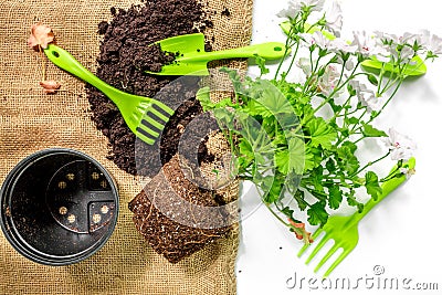 Planting flowers in garden with green instruments and ground on white background top view Stock Photo