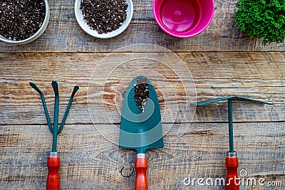 Planting flowers. Gardening tools and pots with soil on wooden background top view Stock Photo