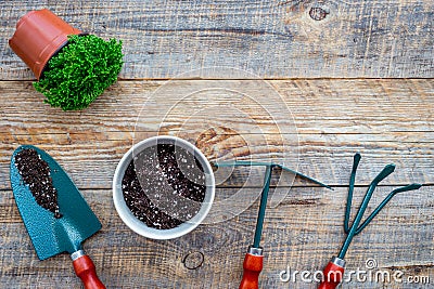 Planting flowers. Gardening tools and pots with soil on wooden background top view copyspace Stock Photo