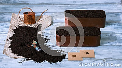 Planting herbs seeds Stock Photo