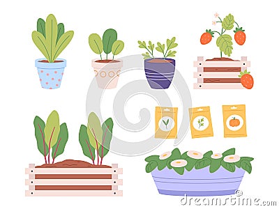 Planting hobby. Seeds packing, plants in pots and wooden box. Garden green, berries and branches. Vegetable growth Vector Illustration