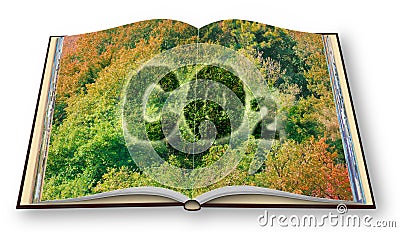 Planting more trees reduce the amount of CO2 - 3D rendering opened photobook concept with CO2 text against woodland Stock Photo