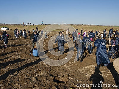 People at the spring planting Editorial Stock Photo