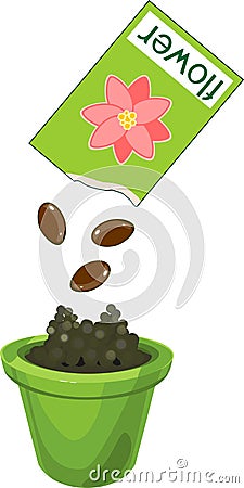 Planting plant seeds in flower pot Stock Photo