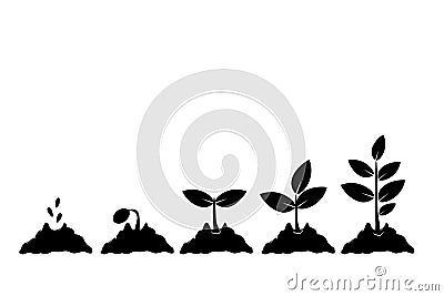 Planting seed sprout in ground. Infographic sequence grow sapling. Seedling gardening tree. Icon, flat isolated on white backgroun Vector Illustration