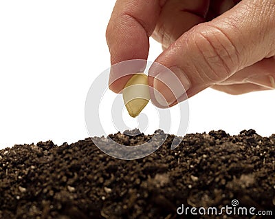 Planting A Seed XXXL Stock Photo