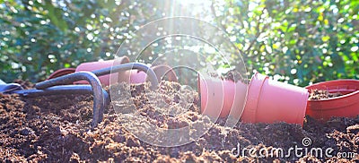 Planting seedlings in the soil on sunny day in the garden in spring. Stock Photo