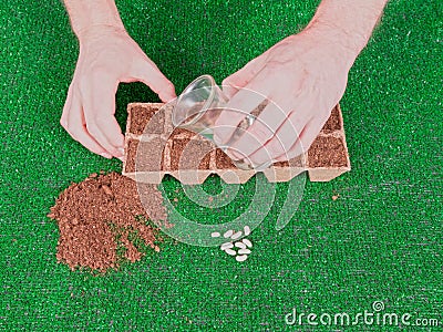 Planting Seeds with Hands, Watering Stock Photo