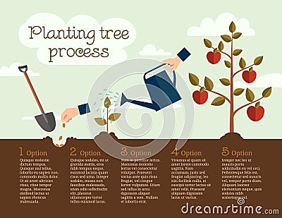 Planting tree process, business concept Vector Illustration