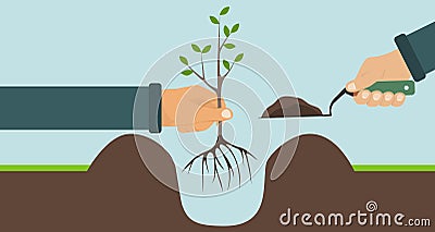 Planting a tree with roots, one hand holding a tree, another shovel with soil Vector Illustration