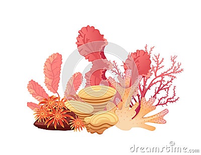 Plants and aquatic marine seaweed vector illustration isolated on white background Vector Illustration