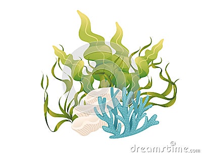 Plants and aquatic marine seaweed vector illustration isolated on white background Vector Illustration