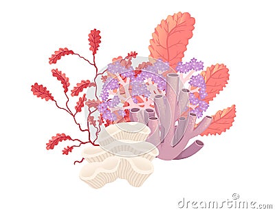 Plants and aquatic marine seaweed vector illustration isolated on white background Vector Illustration