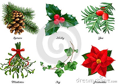 Plants, Christmas decorations. Spruce, holly, yew, mistletoe, ivy, poinsettia. 3d realistic vector set Vector Illustration