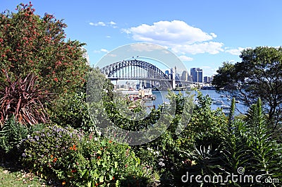 Plants and flowers blooms in spring time against Sydney Skyline Editorial Stock Photo