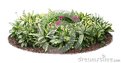 Cut out flowerbed. Garden design. Stock Photo