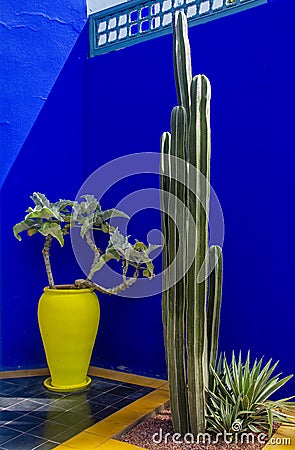 The Majorelle Garden, Jardin Majorelle. Marrakech, Morocco. Plants and furnishing elements, architecture of outdoor spaces Stock Photo