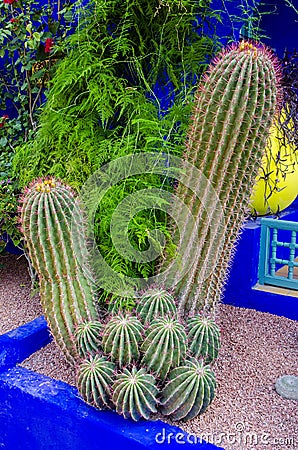 The Majorelle Garden, Jardin Majorelle. Marrakech, Morocco. Plants and furnishing elements, architecture of outdoor spaces Stock Photo