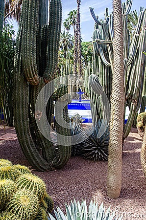 The Majorelle Garden, Jardin Majorelle. Marrakech, Morocco. Plants and furnishing elements, architecture of outdoor spaces Stock Photo