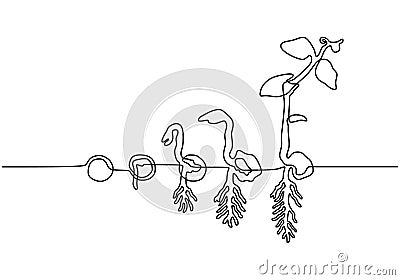 Plants grow isolated on white background or plant seed, growing and cultivation with one line drawing style vector illustration. Vector Illustration