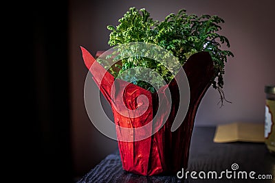 PLANTS IN A RED VASE Stock Photo