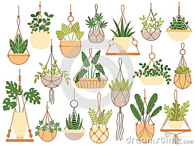 Plants in hanging pots. Decorative macrame handmade hangers for flower pot, hang indoor plants isolated vector set Vector Illustration