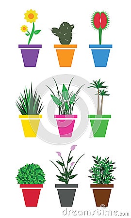 Plants for home Vector Illustration