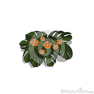 Plants in isometric style. Cartoon tropical bush with orange flowers. Isolated image of jungles nature Vector Illustration