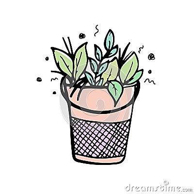 Plants and leaves in a metal bucket. Hand-drawn doodles Vector Illustration