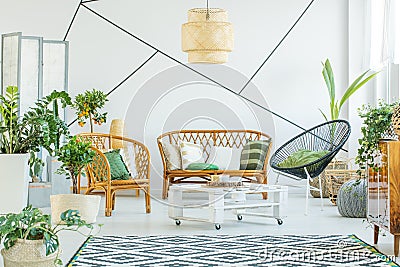 Plants in modern living room Stock Photo