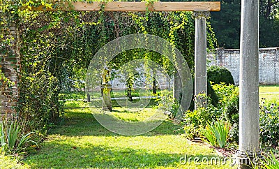 Plants Overhang Trellis at Public Park Stock Photo