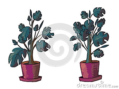 Hand drawn plants monstera in pots Vector Illustration