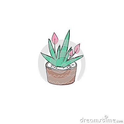 Plants in a pot clip art, illustration, drawing on white background Cartoon Illustration