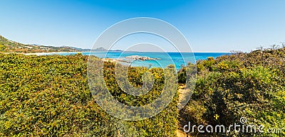 Plants by Scoglio di Peppino shoreline Stock Photo