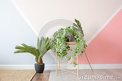 Plants in vintage modern living room. Stock Photo