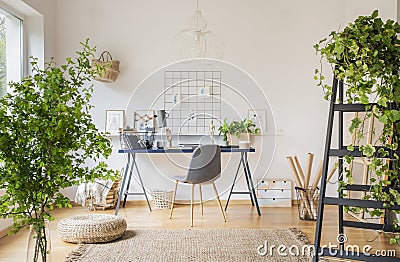 Plants in white spacious home office interior with pouf on carpet near grey chair at desk. Real photo Stock Photo