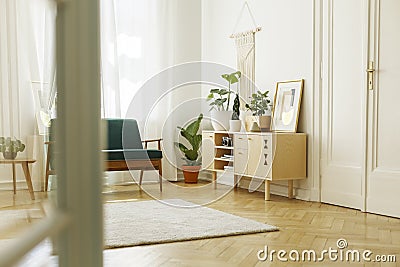 Plants on wooden cupboard with poster in white loft interior wit Stock Photo