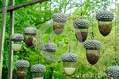 Planty of hanging bird feeders in shape of acorn full of different grain against forest background Stock Photo