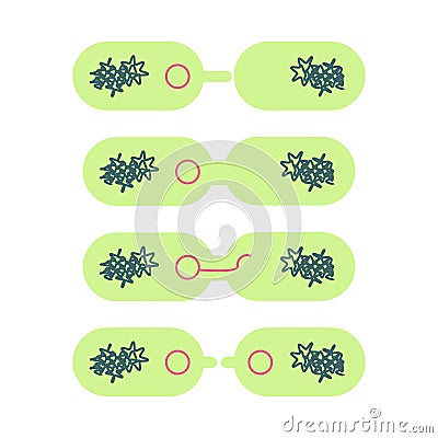 Plasmid in bacterial cell. Vector Illustration