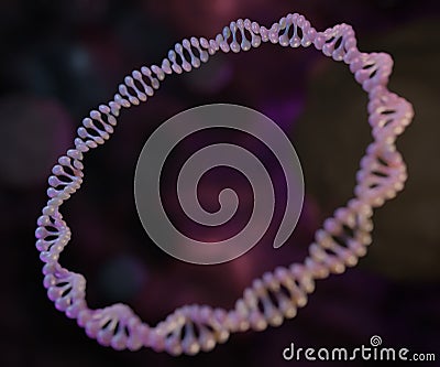 A plasmid is a small circular DNA molecule found in bacteria Stock Photo