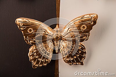 Plaster relief butterfly Stock Photo